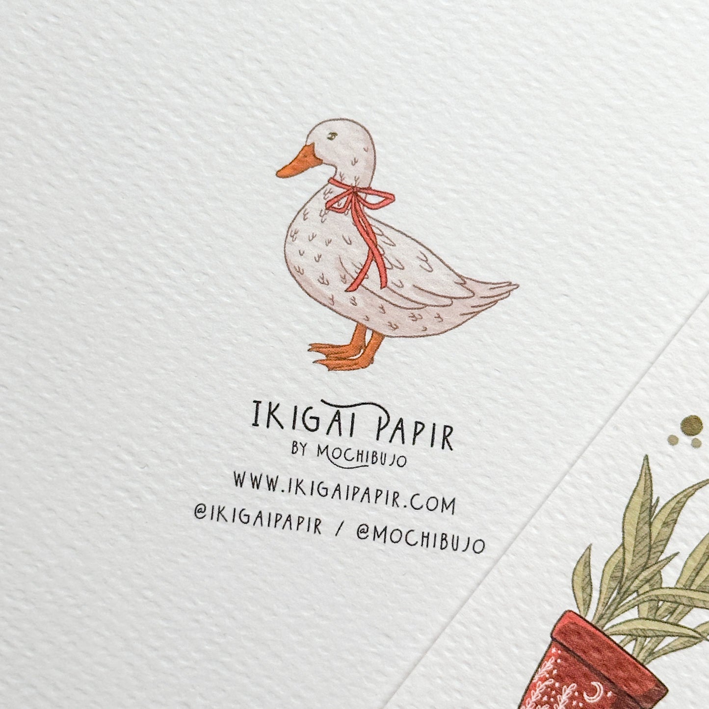 Gardening & Ducks A5 Print