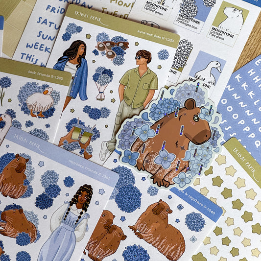 Capybara Summer Sticker Bundle