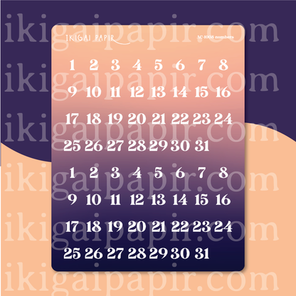 Year of the Horse Sticker Bundle